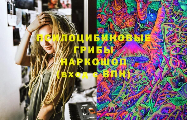 spice Новозыбков