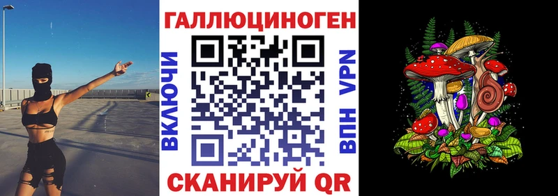 закладка  Полярный  Псилоцибиновые грибы Psilocybine cubensis 